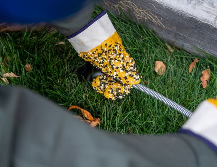 mountain standard plumbing -59_438x338 - sewer line services