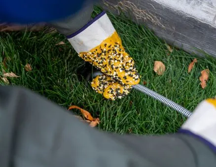 mountain-standard-plumbing-59_438x338